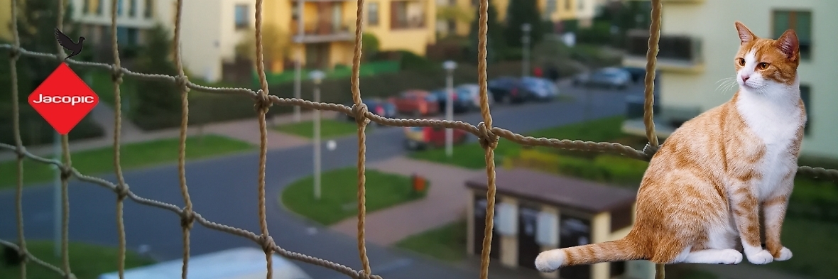 Gdzie kupić siatkę na balkon dla kota w Warszawie?