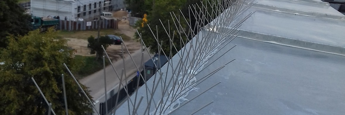 Kolce na ptaki, czy spirale na ptaki - co wybrać?