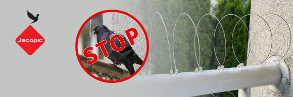 Jak zabezpieczyć balkon przed gołębiami? 7 sposobów na ochronę balkonu przed ptakami